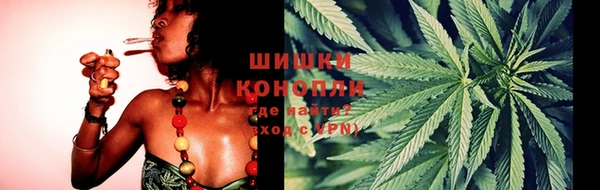 spice Беломорск