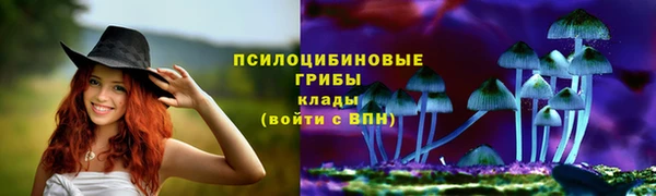 spice Беломорск