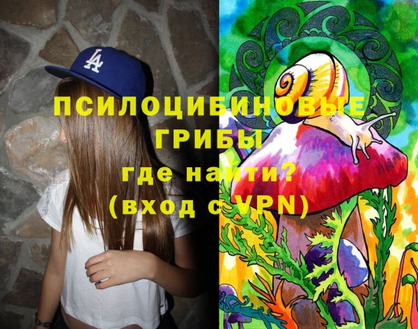 spice Беломорск