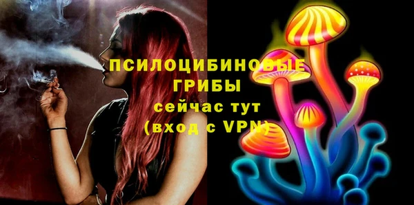 меф Белокуриха