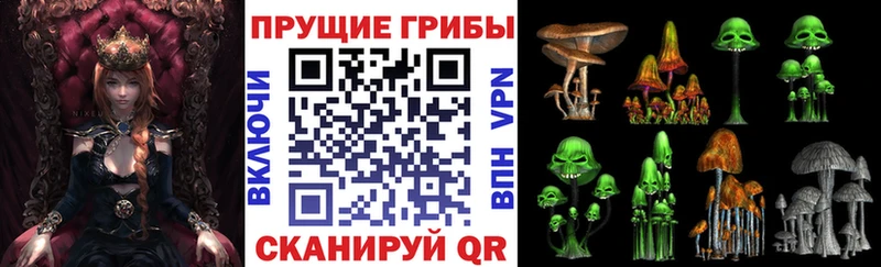 площадка наркотические препараты  Улан-Удэ  Псилоцибиновые грибы Psilocybe 